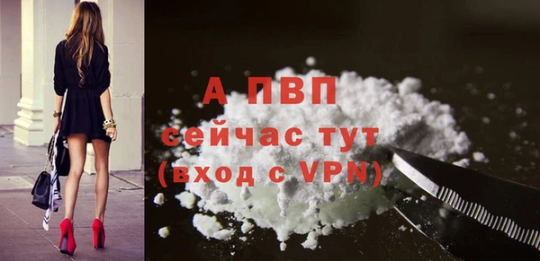 спиды Осинники