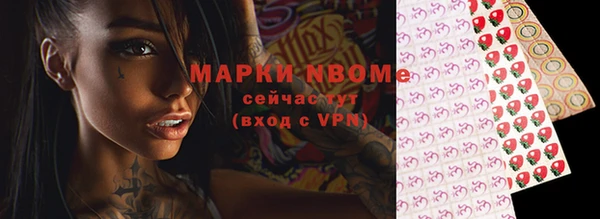 мдпв Осташков