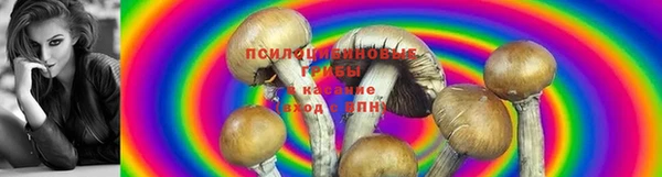 спиды Осинники