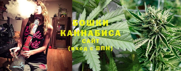мдпв Осташков