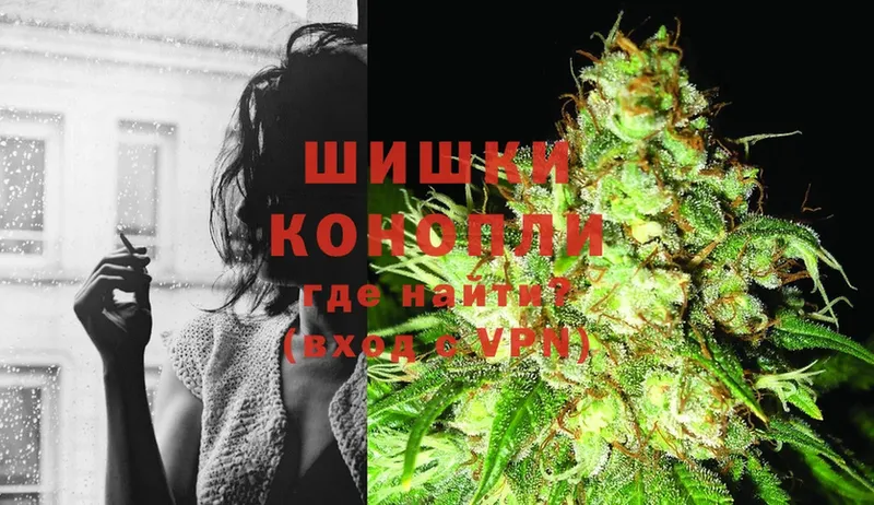 Конопля OG Kush  Алагир 